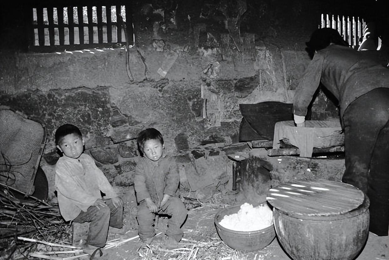 和人类共同进化的虱子,30多年前很常见,现在怎么看不到了?