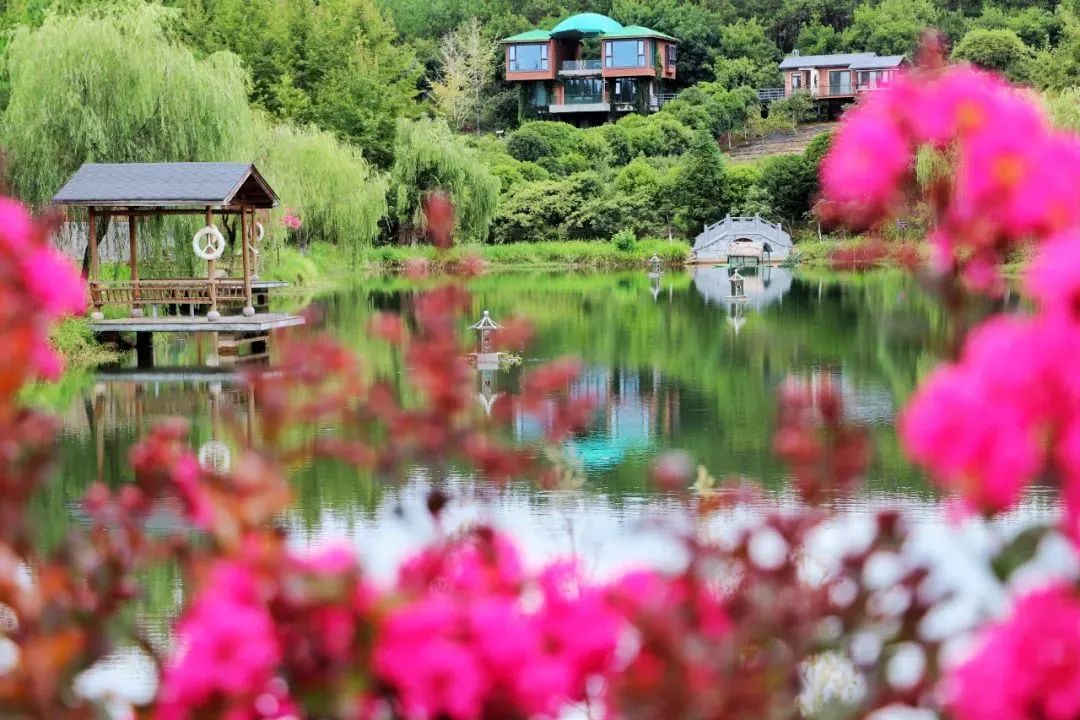 安徽|安徽人游安徽 | 国庆假期到谢裕大茶博园 嗨玩一整天不重样!