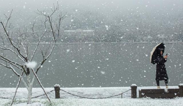 杭州西湖|雪落杭州西湖，雪天一色美不胜收