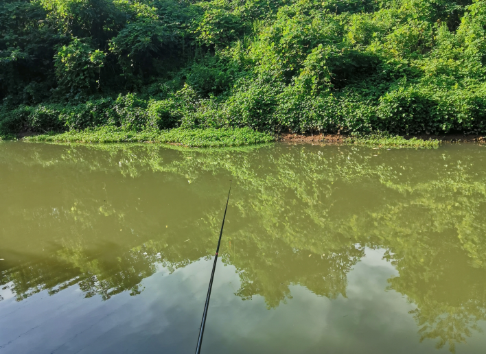 中暑|钓鱼人外出作钓,经常忽视一点,王者之战给钓鱼人上了生动一课