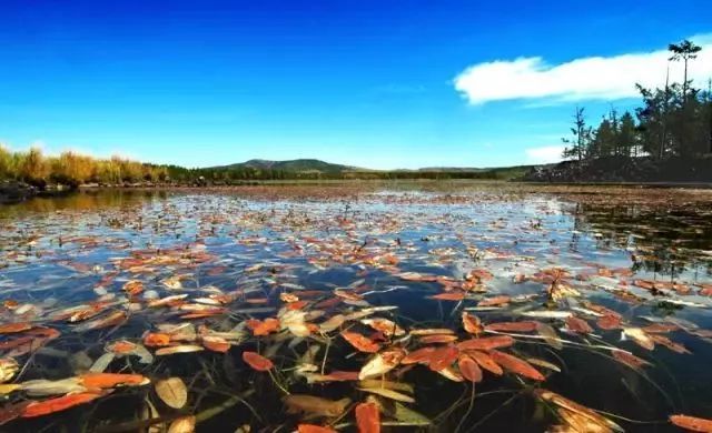 |景色媲美瑞士！直飞2国内秘境去一次等于玩转欧洲，现在去正好！