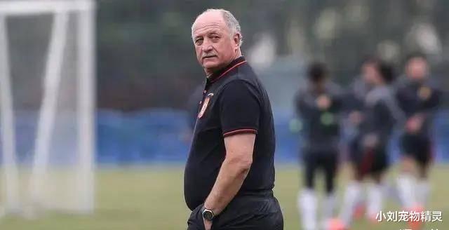 斯科拉里始终认为：中国足协领导人根本不想进世界杯！