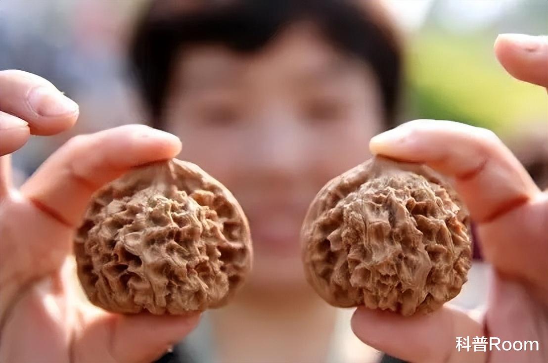 文玩|文玩核桃，价值堪比一座楼，北京大爷手里的核桃为何这么贵