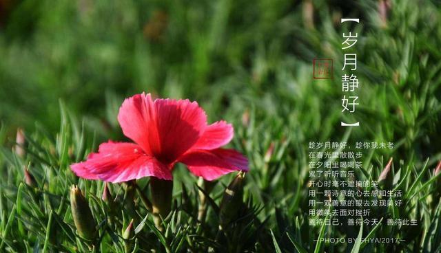 放下幻想准备战斗,田静的直播间又被砸了,老杜没打算放过威威