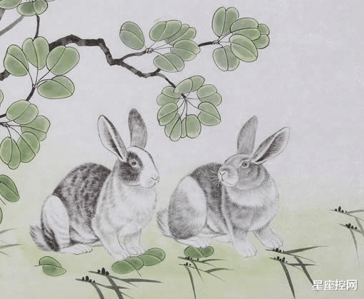 生肖|四个生肖今年万事开头难，熬过风暴迎好运，事事顺心无烦恼！