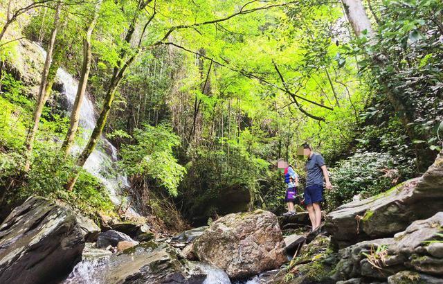 河内|长沙最大的瀑布,藏在深山中未被开发,美丽壮观不输景区