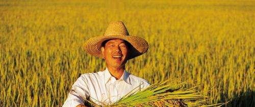 新房|“恭喜”农民朋友!农村将统一处理老房子,但这3种情况没有补偿