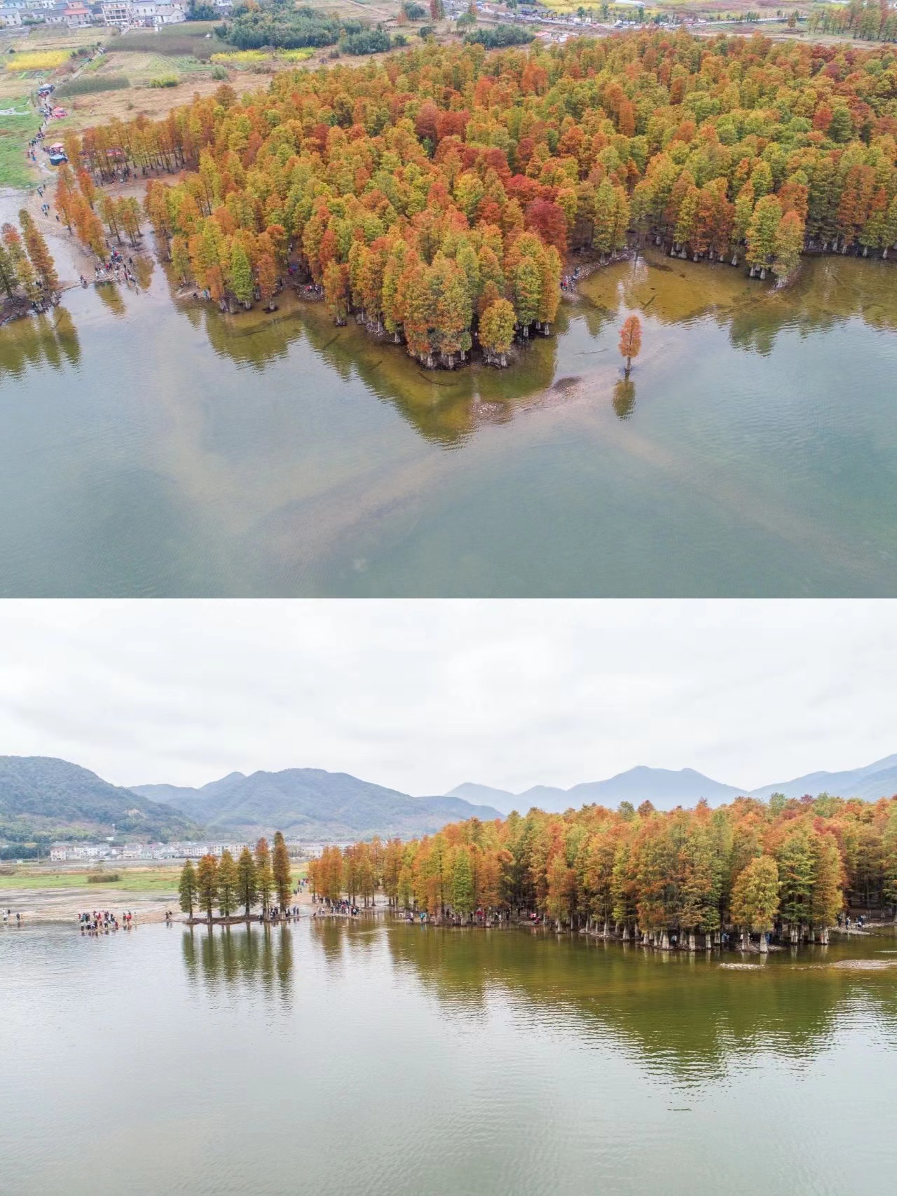 宁波|宁波自驾游，这条堪称浙江318最美盘山公路，收藏夏日自驾攻略