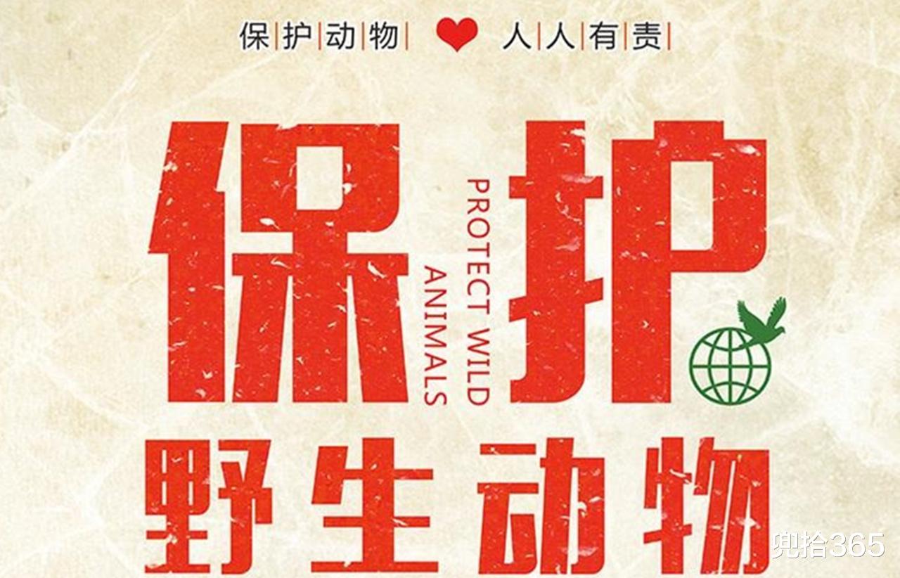 男子钓鱼被水蛇偷吃,直接赖上不走了,网友:可以吹一辈子