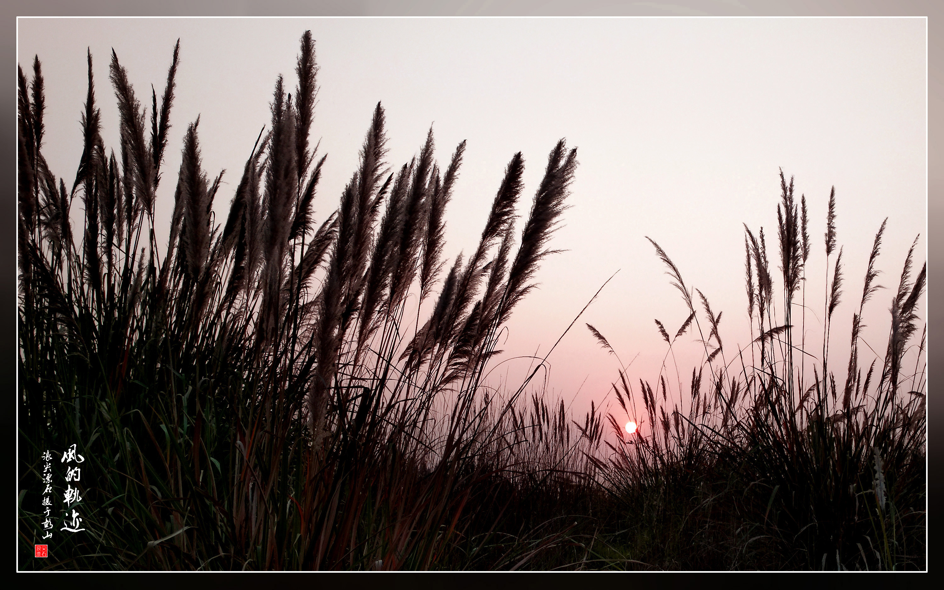 昆明|白露，好美的名字！
