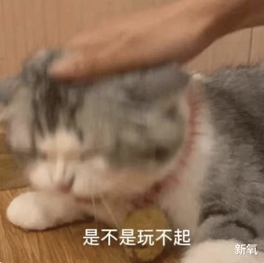 |她就是过气艺人的真实写照吧？人前光鲜亮丽，实际一地鸡毛…