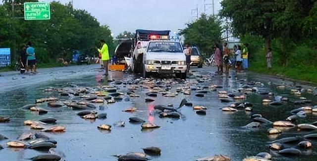 世界上最奇怪的4种雨，俄罗斯居然下过钱雨？是你想要的那种吗？