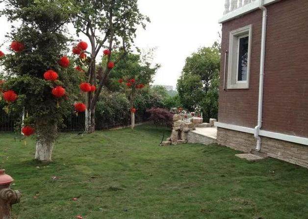 闺蜜嫁去农村，参观她的500万豪华婚房别墅，看到游泳池我无语了
