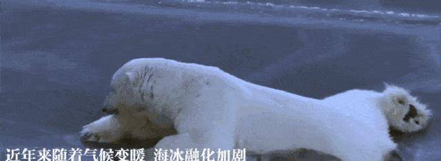 2022年怎么这么热？这可能只是起点而已，未来人类该怎么办？