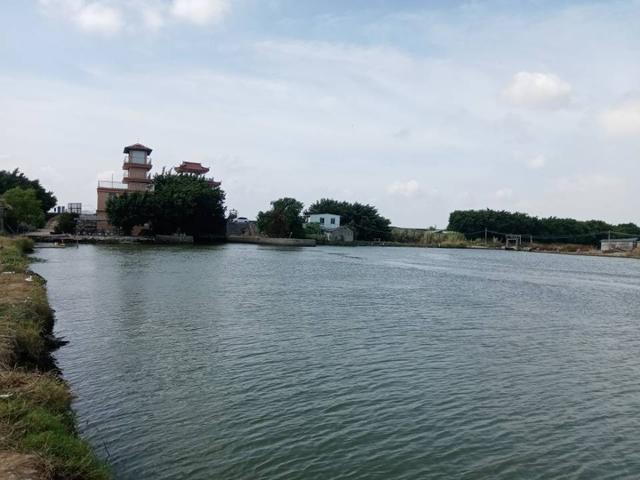 |再战X基地,这次想要爆护不容易