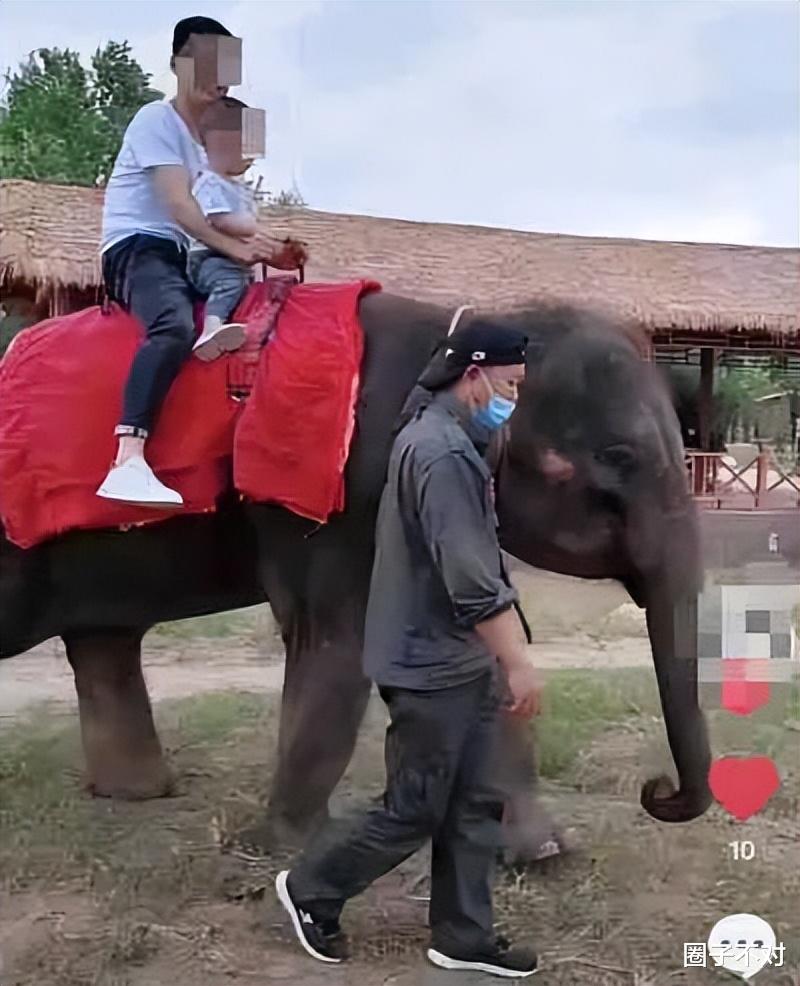仔细看,这滴眼泪淹没的是不是你心目中的人道主义