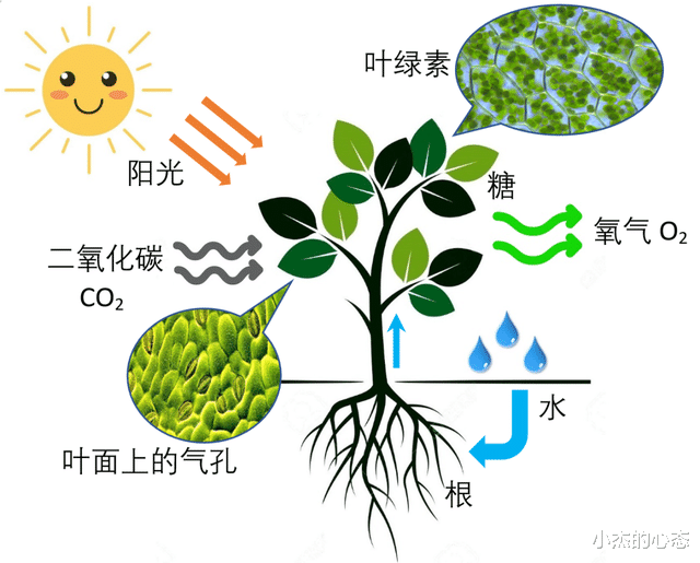 如果太阳“熄灭”了,地球上的人类究竟还能生存多久?