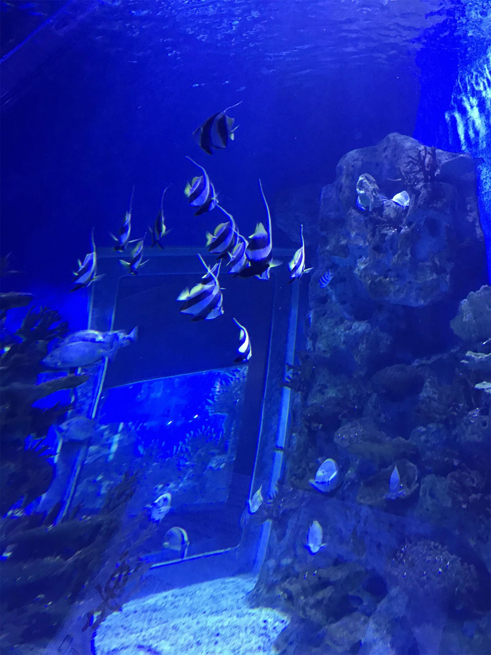 青浦|日照游记,日照旅行之不懂就问系列