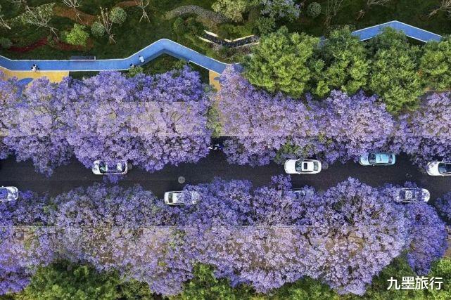 拉萨|这条耗资380亿的“高速公路”，包揽了中国最美的春天，全程免费