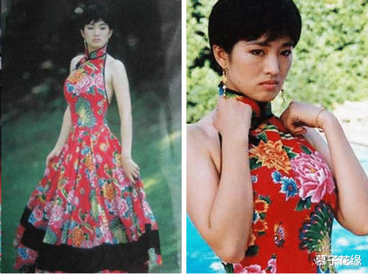 赵雅芝|发现张馨予的生活太精致,院子里栽满的不光有花果蔬菜,还有幸福