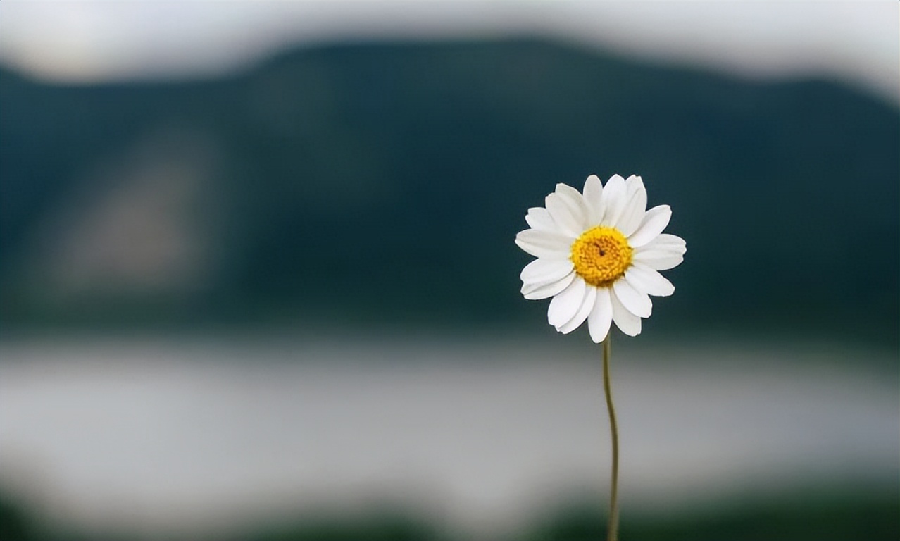 软件|退休后的第一年,做到“四大转变”,福气越来越多