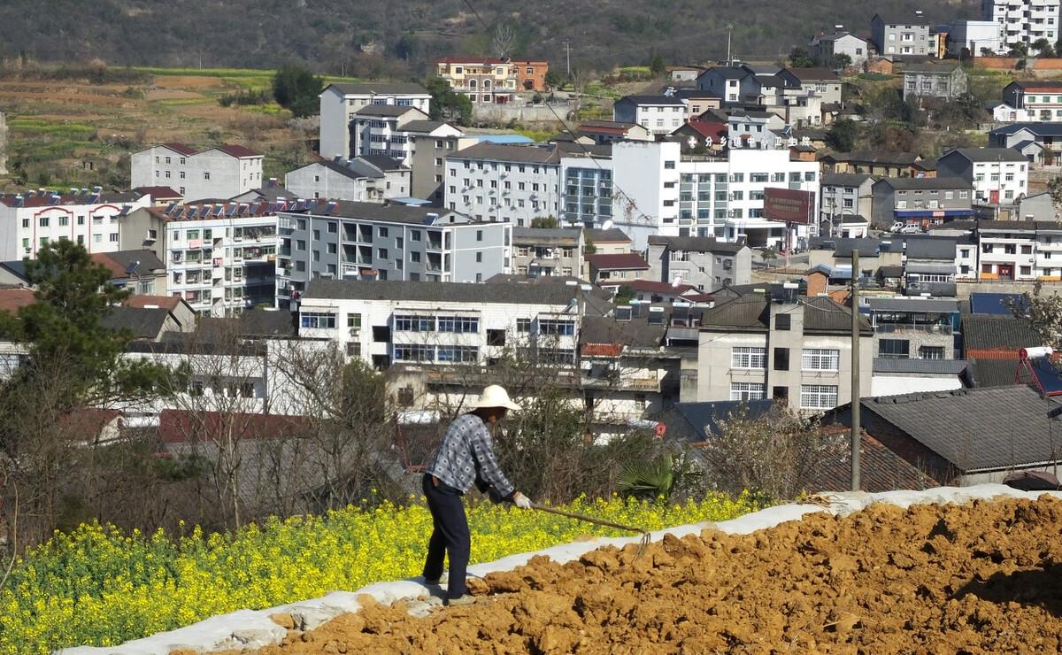 杭州|回农村盖房是否可取?过来说出“4大”弊端,看完再作决定