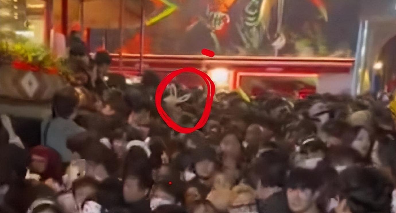 梨泰院,万圣节前夜到底发生了什么?