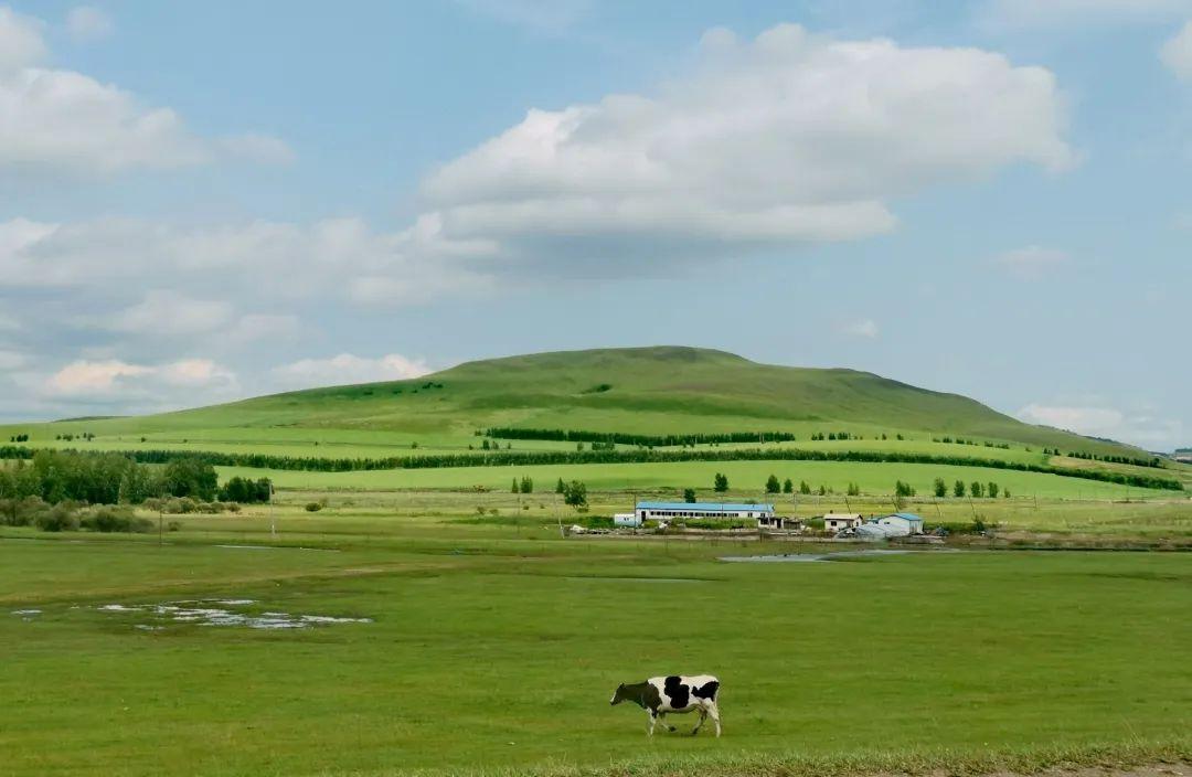 设计师|自驾98天,穿越18个省市区,35000公里,王者归来,勇士圆梦!