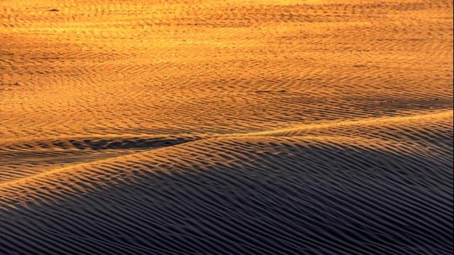 费孝通|武汉2022限定版美景,你爱了吗?