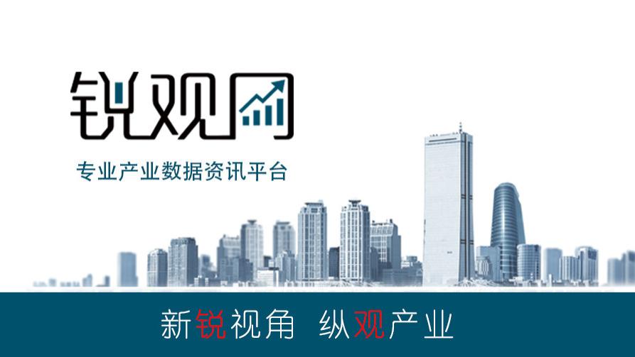 中国互联|2023-2028年中国互联网医院产业全景调查及投资咨询报告