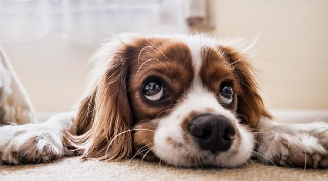 |为什么这届九零后普遍跟父母不亲？真实答案：最伤人的往往是亲人