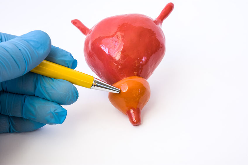 肾损伤|喝水后就尿多，难道是肾损伤的信号？提醒：多半是这4个因素影响