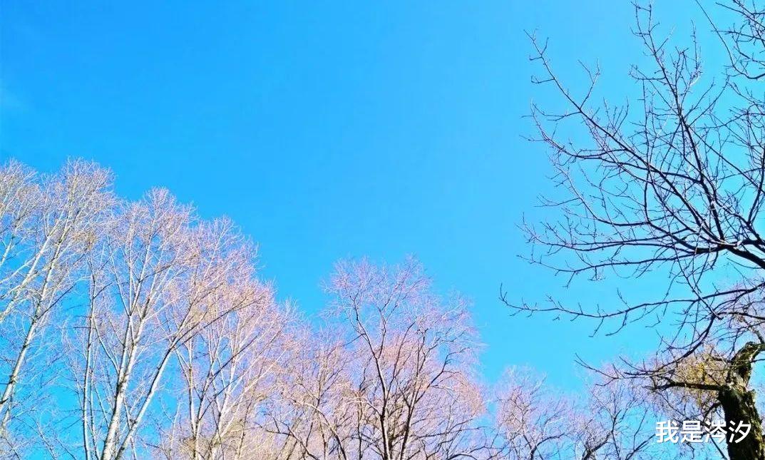 人才争夺战|疫情后,找工作的4个方法