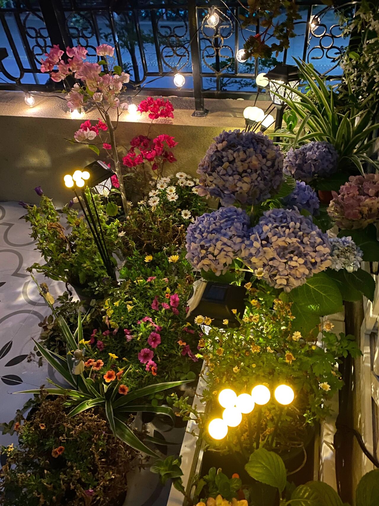 买了一栋带露台的小洋房,亲自设计改造成空中小花园,好不惬意!