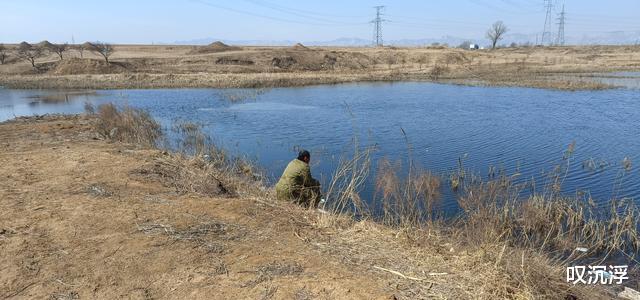 大板|清明过后,遇到这种天气请假也要去钓鱼,大板鲫排队咬钩