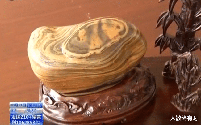 青岛大哥捡到熊猫奇石,有人出价百万不卖,专家估价后:幸亏没卖