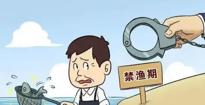 |为什么许多人喜欢把钓到的小鱼扔在岸边,而不是放掉?有何利弊?