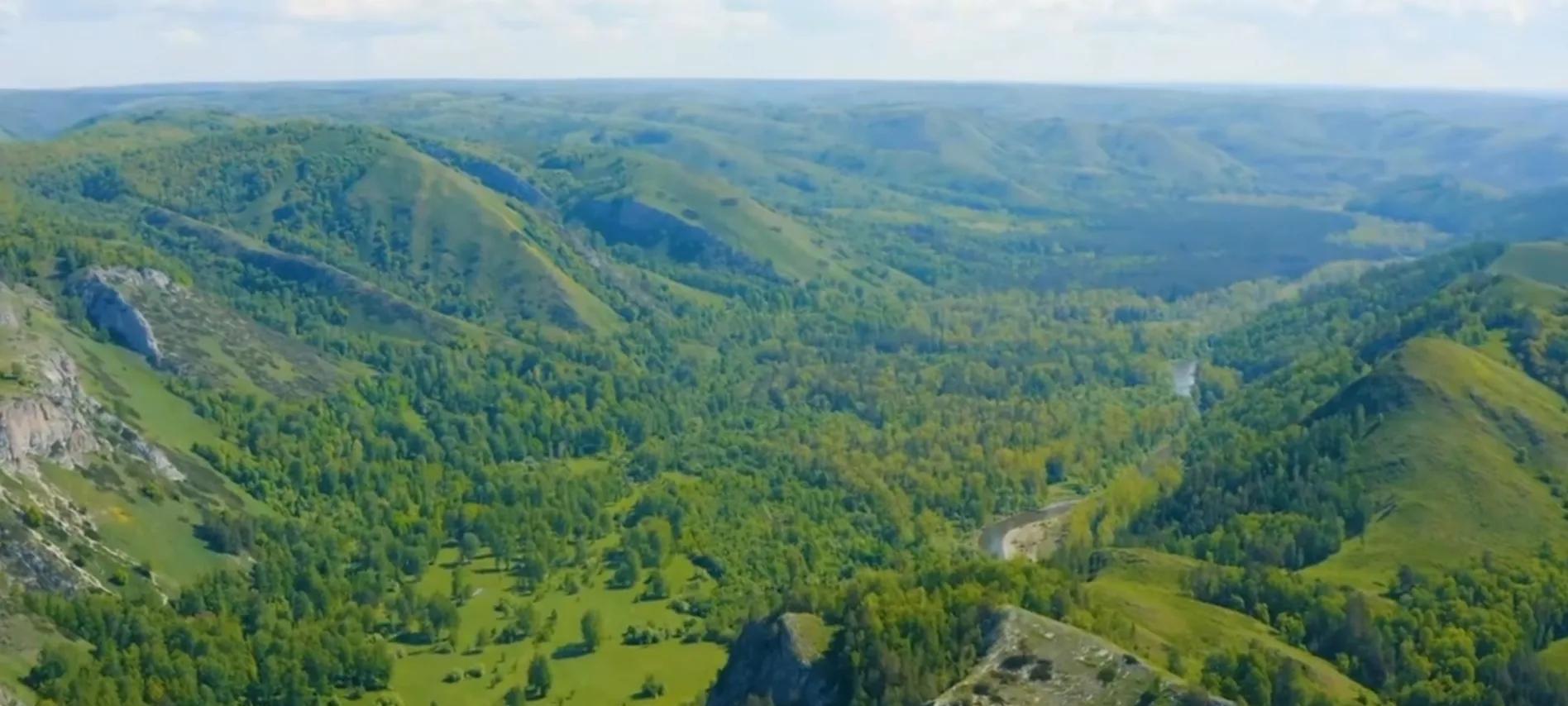 浙江省|科米原始森林——欧洲面积最大的原始森林