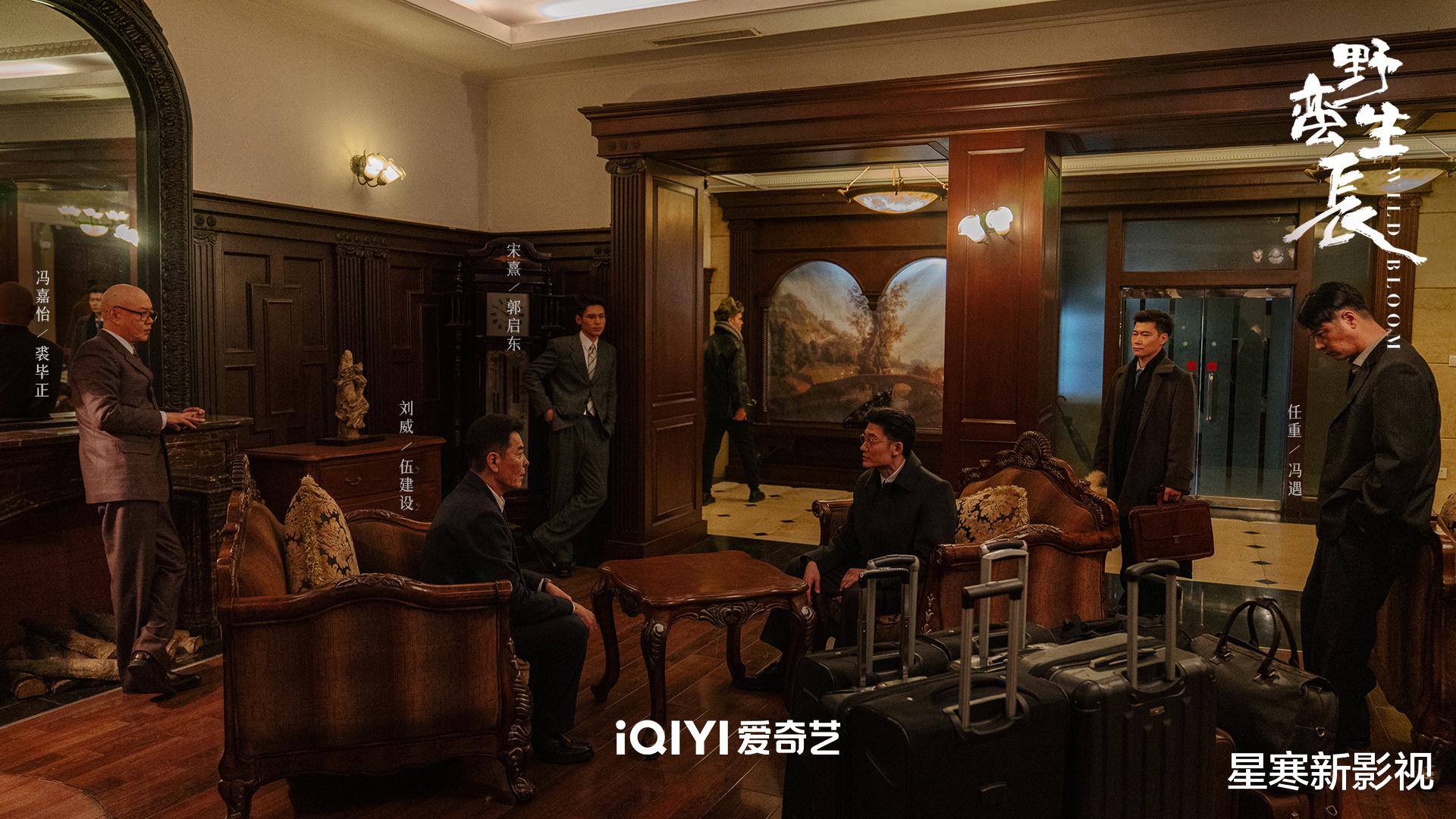 赵丽颖|赵丽颖《风吹半夏》播出时间定了，实力派云集，剧情看点足，要火