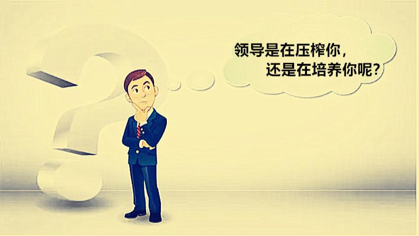 广州市|一文读懂公司领导是在培养你还是在压榨你，建议收藏不吃亏