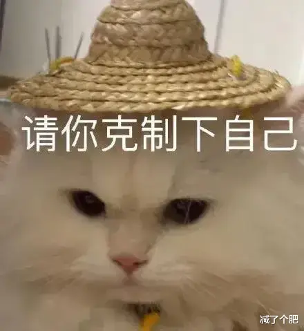 饮食 在线支招：掌握好这4大要点，节后减肥那都不是事儿