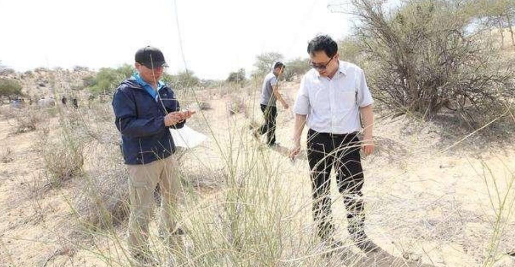 当年的千亿只蝗虫,最终结局如何?或与人类命运息息相关