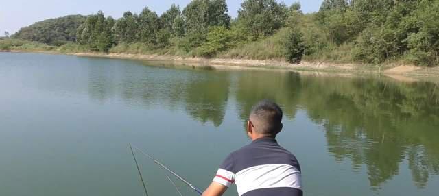 |同一个钓点,电死数名钓鱼人,真的因为鱼多?