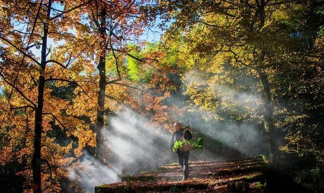 喷泉|浙江这座神秘小县城，宛如一处秘密花园，满足你对乡野的“畲”望