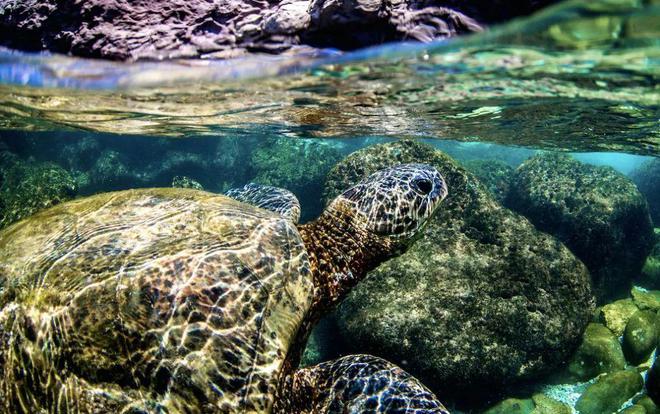 旅游市场|节假日想去旅游，又怕人多，那就去远一些的地方