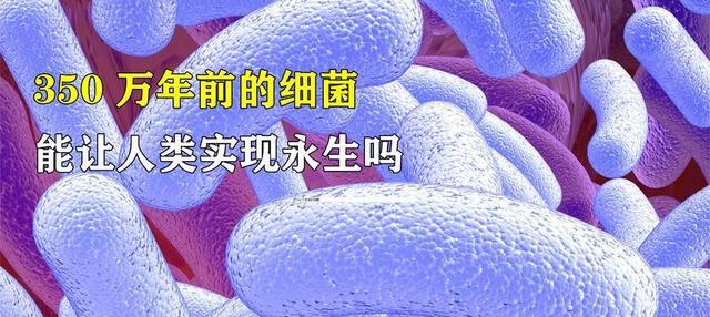 350万年前的细菌,可以让人永生么?看完才明白,永生是一种酷刑