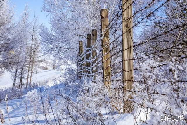 旅行|国内超适合独自旅行的8个旅行地,人少景美,光听名字就想出发!