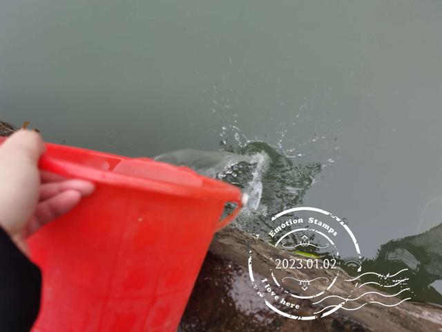 饵料|冷雨淅沥,野鲫零星