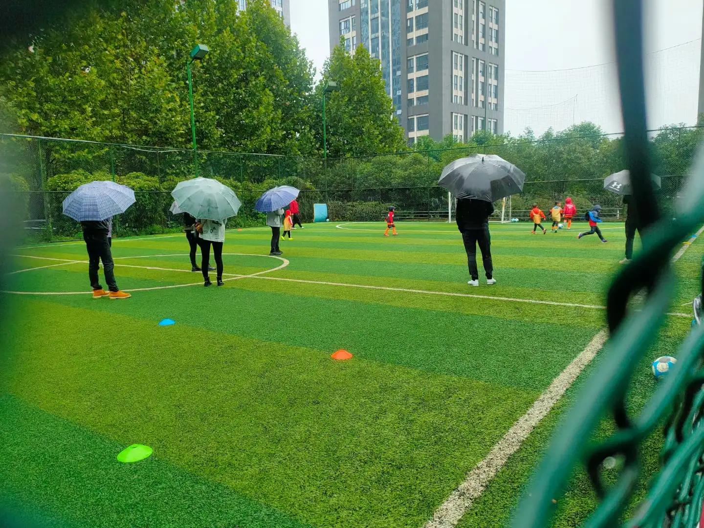 中国足球|陈戌源在女足庆功会上指出，中国足球的改革，需要更多的内行人士