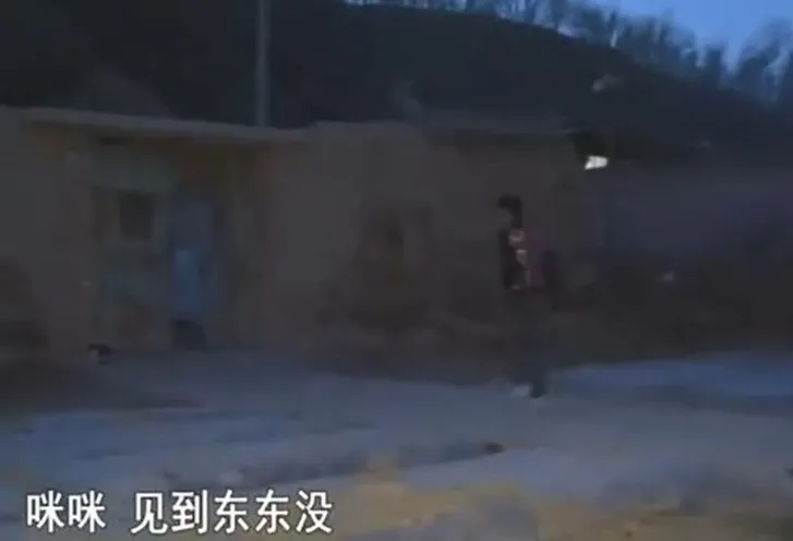 王晨正|《变形计》最苦命爷爷去世，王晨正“变形”成功的故事感动千万人